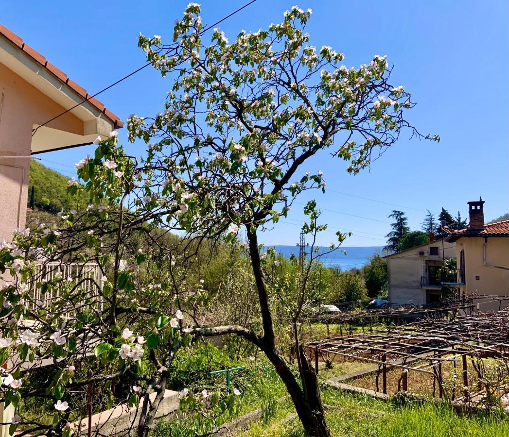 Villa Flamingo Mošćenička Draga 외부 사진