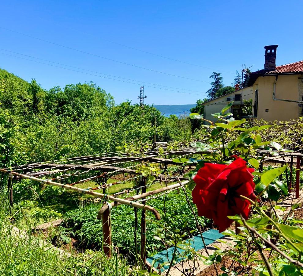 Villa Flamingo Mošćenička Draga 외부 사진